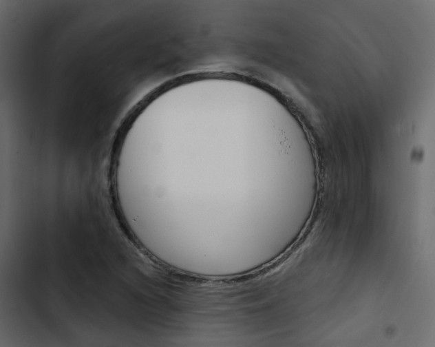 X0000103911216200809191111