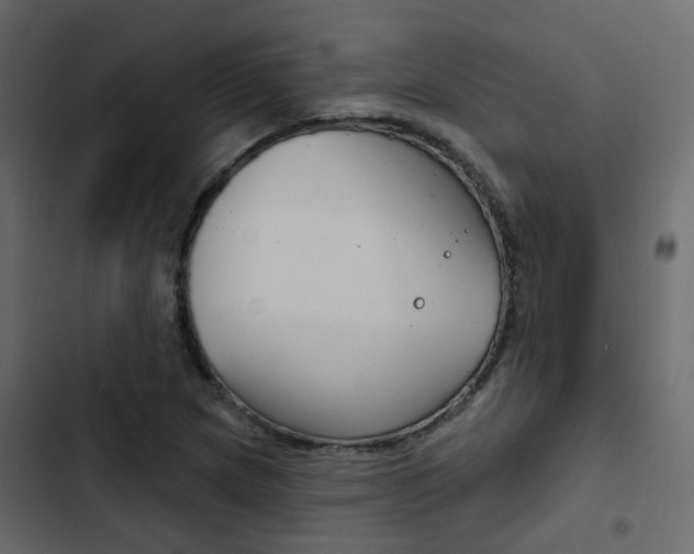 X0000103911217200809191111