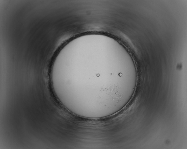 X0000103911218200809191111