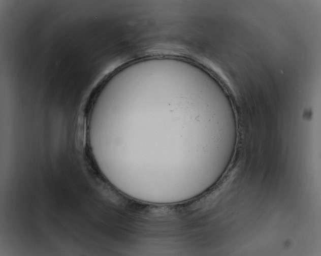 X0000103911219200809191111