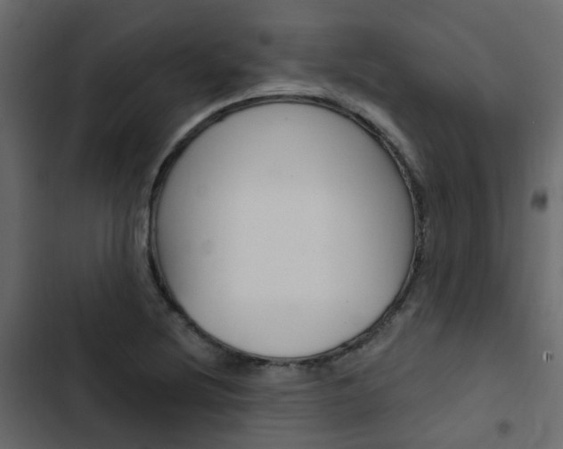 X0000103911220200809191111