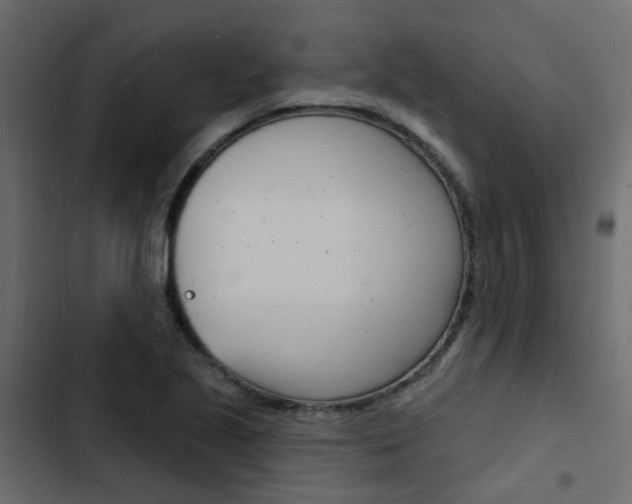 X0000103911221200809191111