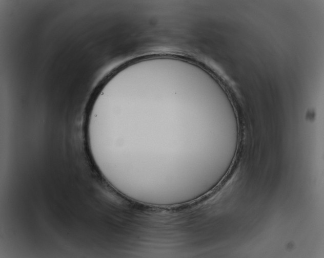X0000103911222200809191111