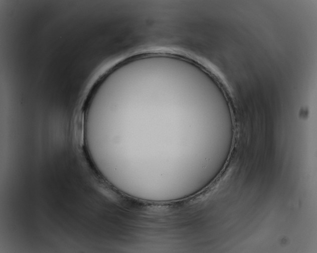 X0000103911223200809191111