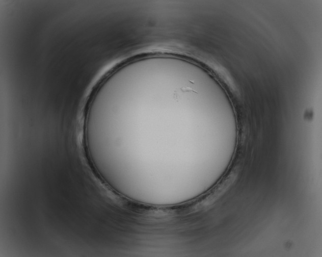 X0000103911224200809191111