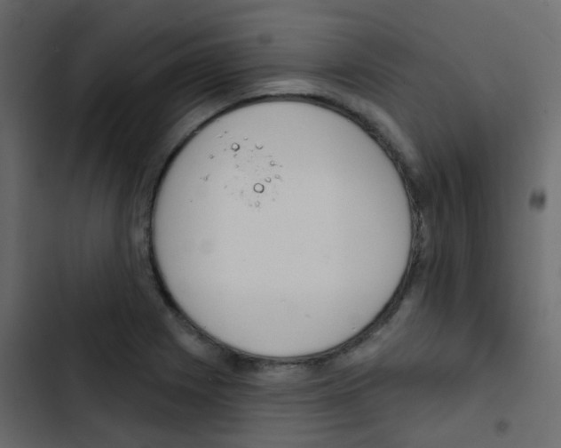 X0000103911225200809191111
