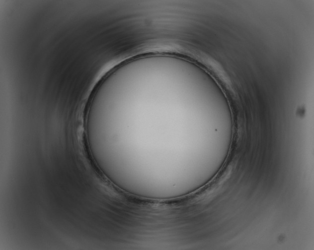 X0000103911226200809191111