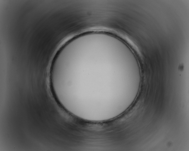 X0000103911229200809191111