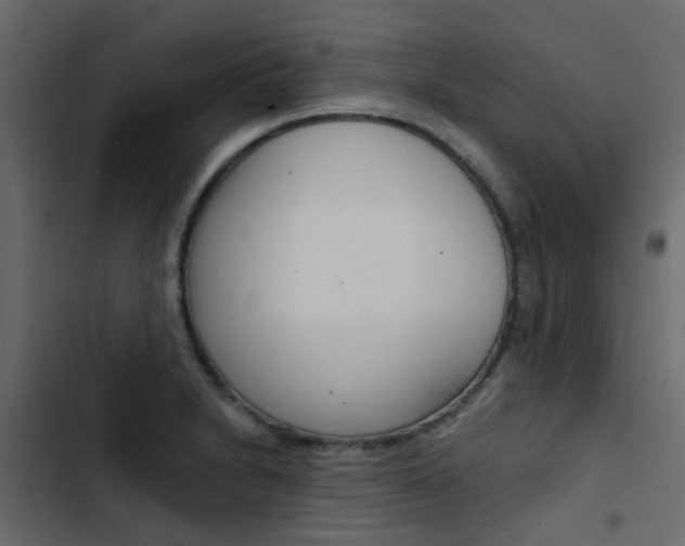 X0000103911230200809191111