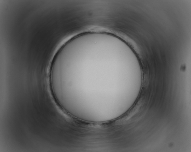 X0000103911231200809191111