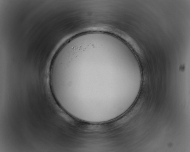 X0000103911232200809191111
