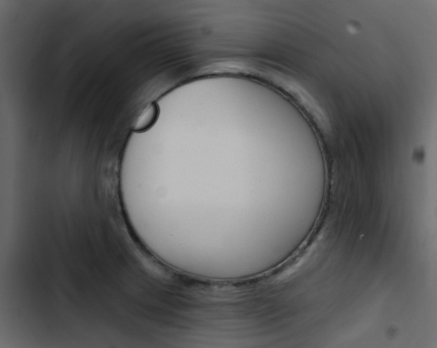 X0000103911233200809191111