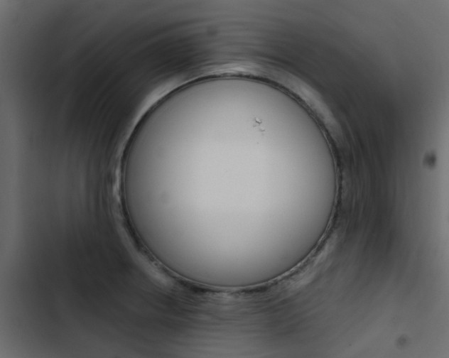X0000103911234200809191111