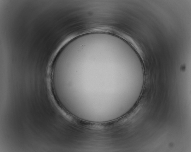 X0000103911235200809191111