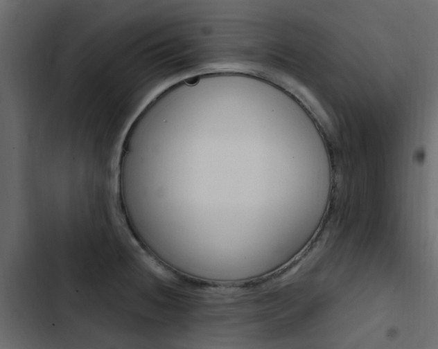 X0000103911236200809191111
