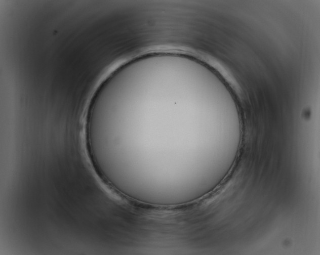 X0000103911237200809191111