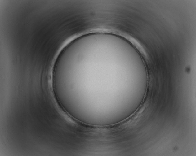 X0000103911238200809191111