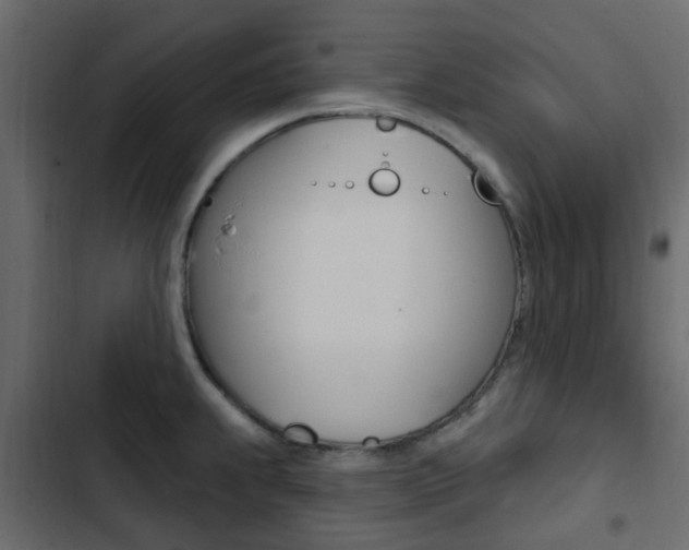 X0000103911239200809191111