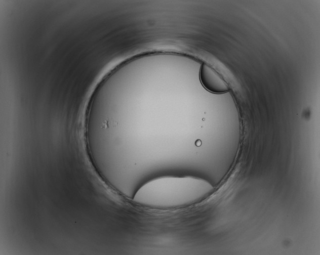 X0000103911240200809191111