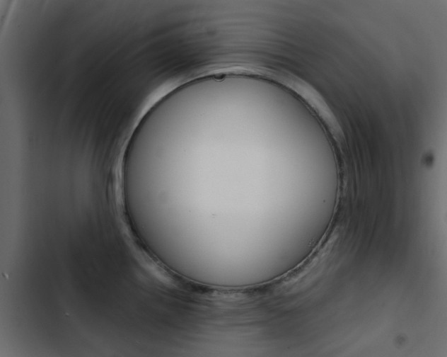 X0000103911242200809191111