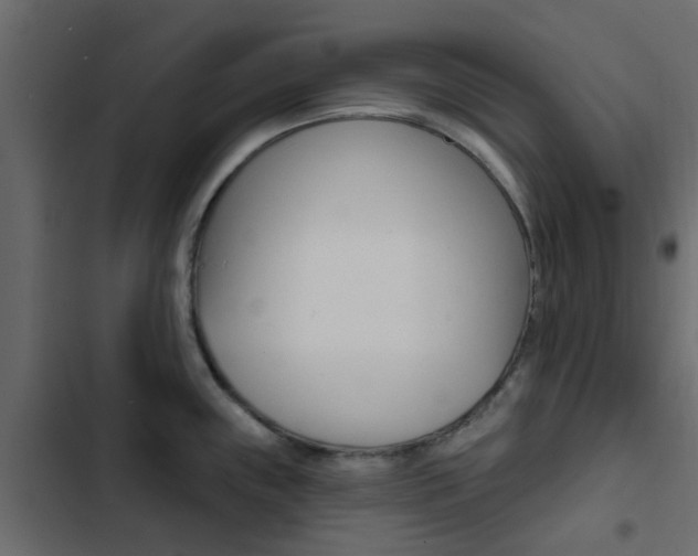 X0000103911243200809191111