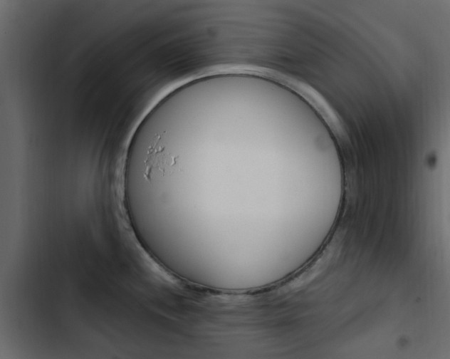X0000103911244200809191111