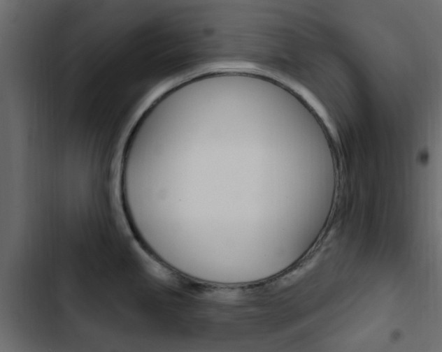 X0000103911245200809191111