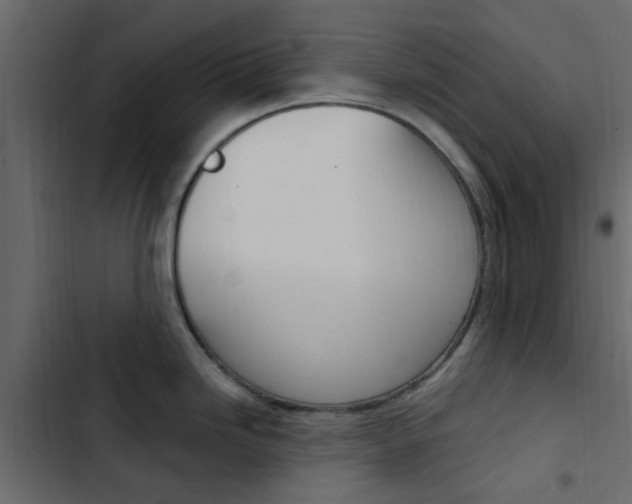 X0000103911246200809191111