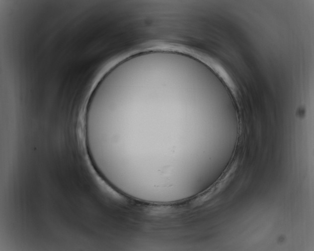 X0000103911247200809191111