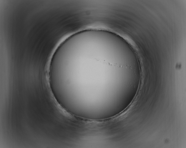 X0000103911248200809191111