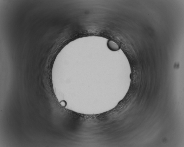X0000103911249200809191111