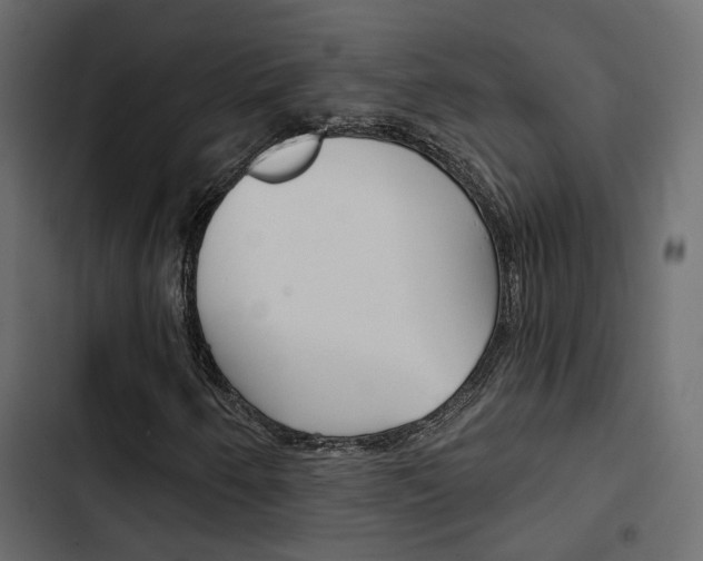 X0000103911250200809191111