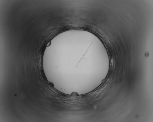 X0000103911251200809191111