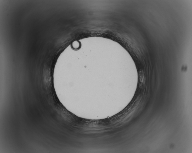 X0000103911252200809191111