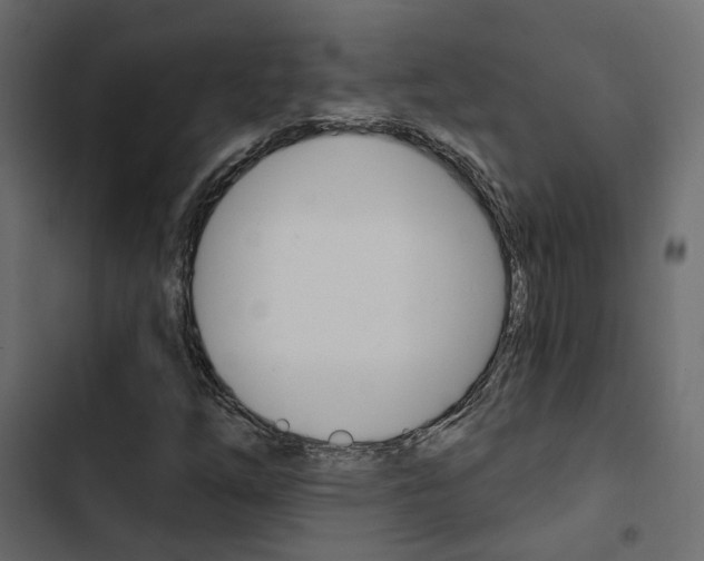 X0000103911254200809191111