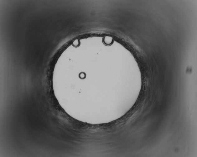 X0000103911256200809191111