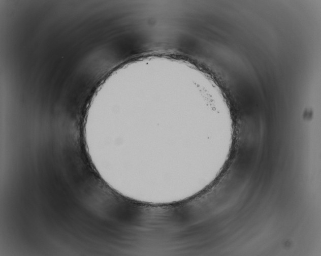 X0000103911257200809191110