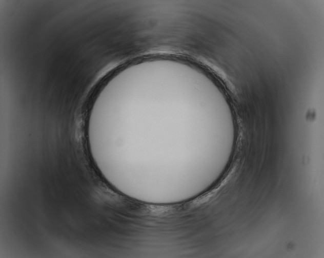 X0000103911258200809191110