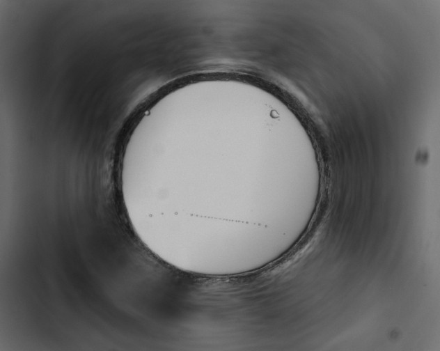 X0000103911259200809191110