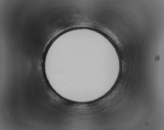 X0000103911260200809191110