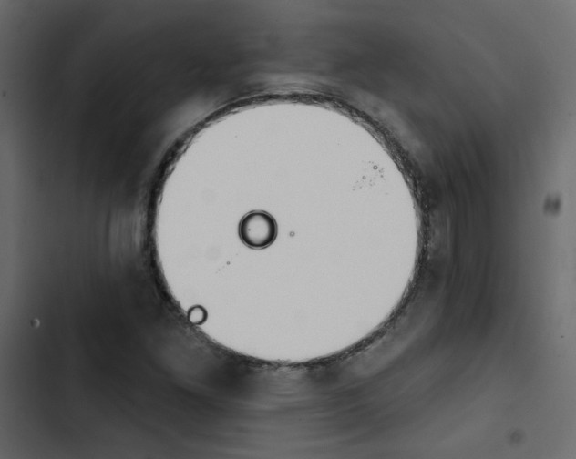 X0000103911261200809191110