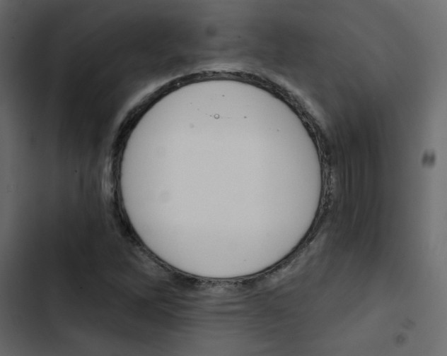 X0000103911262200809191110