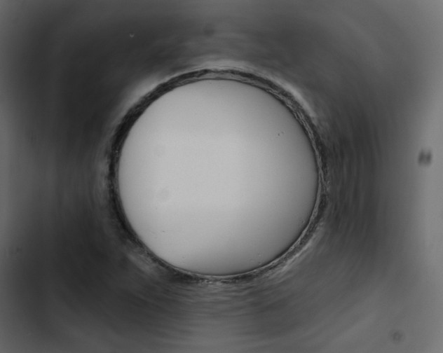 X0000103911263200809191110