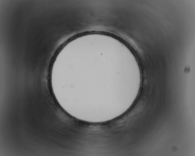 X0000103911264200809191110