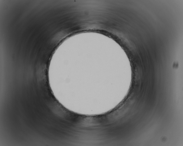 X0000103911265200809191110
