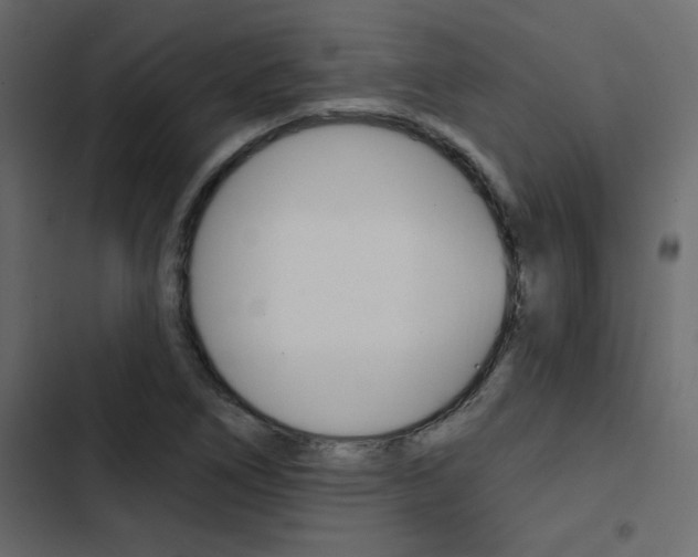 X0000103911266200809191110