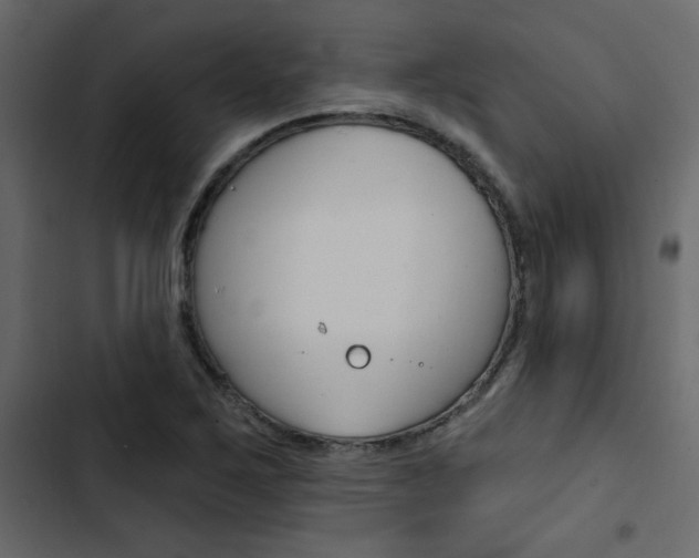 X0000103911267200809191110