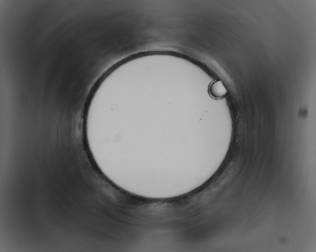 X0000103911268200809191110