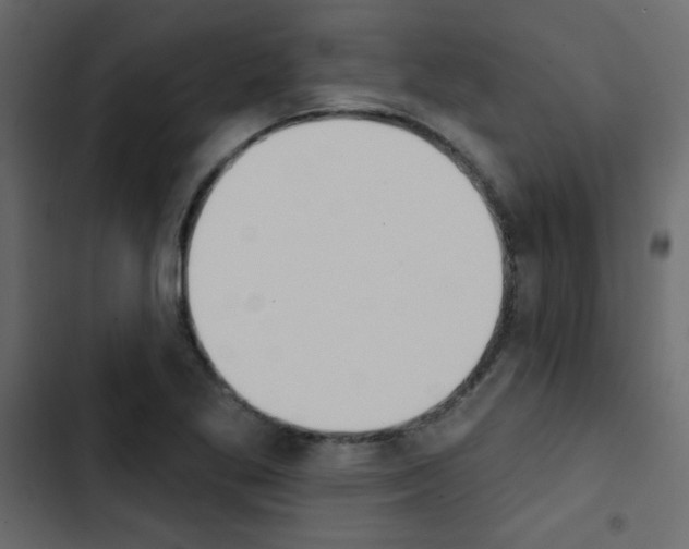 X0000103911269200809191110