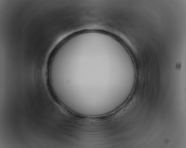 X0000103911270200809191110